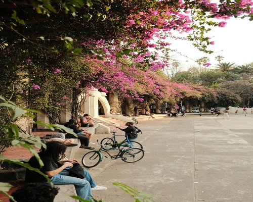 urban park in Mexico with a calm atmosphere